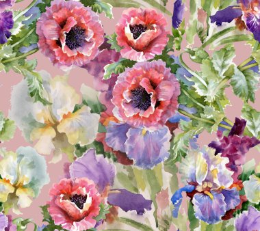 haşhaş çiçek çiçeklenme