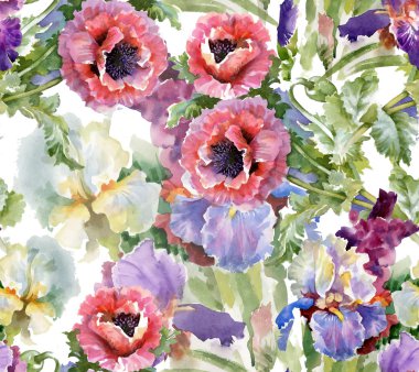 haşhaş çiçek çiçeklenme