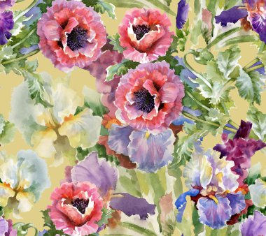 haşhaş çiçek çiçeklenme