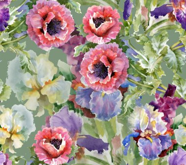 haşhaş çiçek çiçeklenme