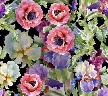 haşhaş çiçek çiçeklenme