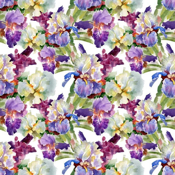 Watercolor blooming iris flowers — Stock Photo, Image