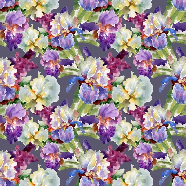 Akvarel kvetoucí květiny iris — Stock fotografie