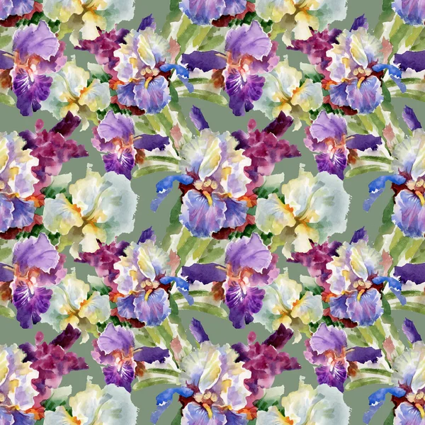 Aquarel bloeiende iris bloemen — Stockfoto