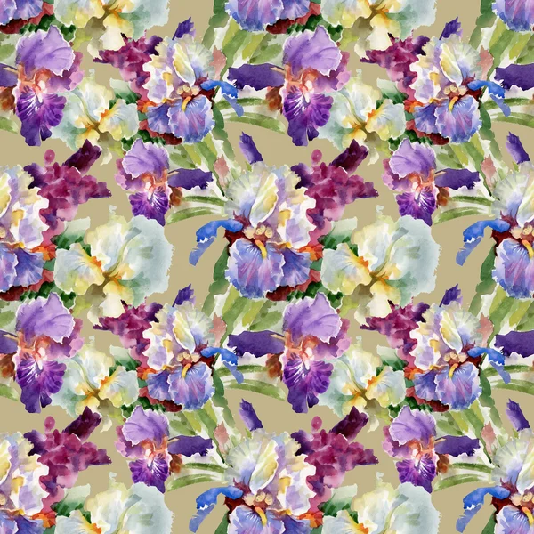 Watercolor blooming iris flowers — Stock Photo, Image