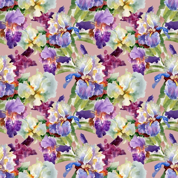 Akvarell blommande iris blommor — Stockfoto