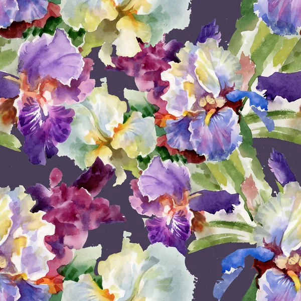 Aquarel bloeiende iris bloemen — Stockfoto