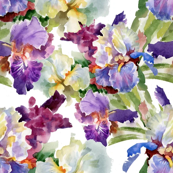 Watercolor blooming iris flowers — Stock Photo, Image