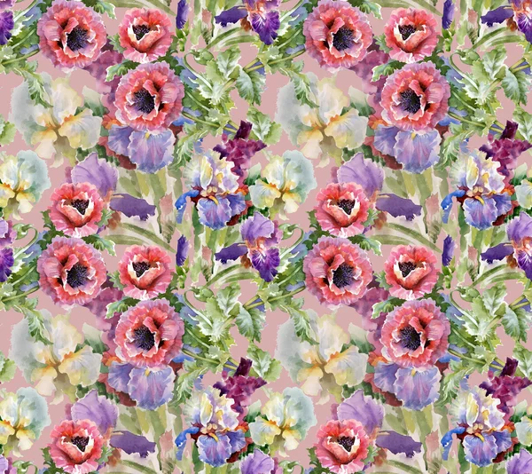 Fleurs de pavot en fleurs — Photo