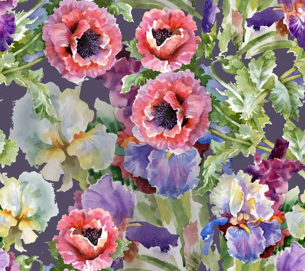 haşhaş çiçek çiçeklenme