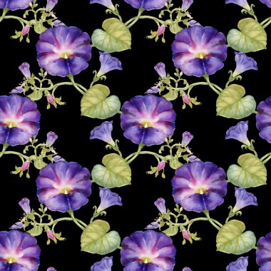 çiçek açan Bind ot tomurcukları  