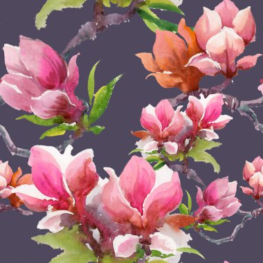 Çiçek açan Manolya çiçek