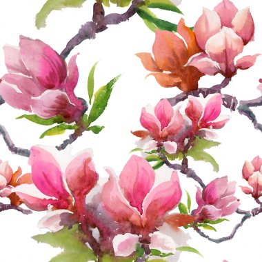 Çiçek açan Manolya çiçek