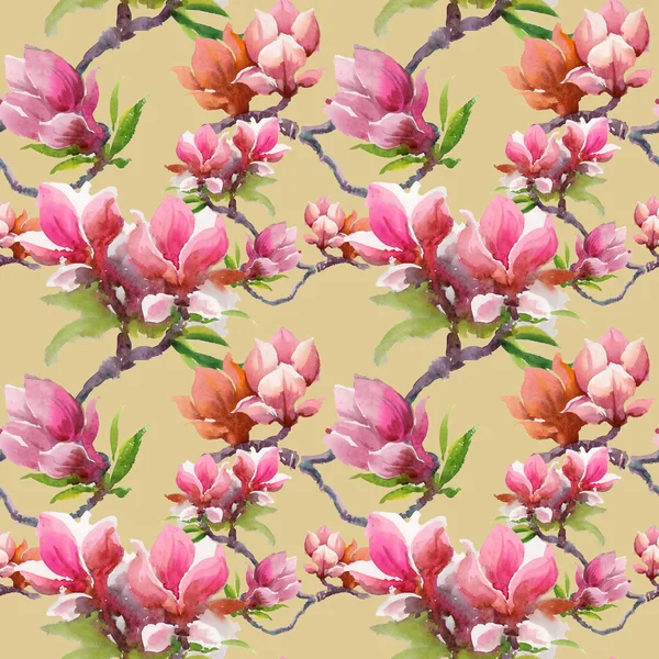 Fleurs de magnolia en fleurs — Photo