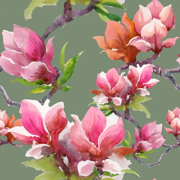 Blühende Magnolienblüten — Stockfoto