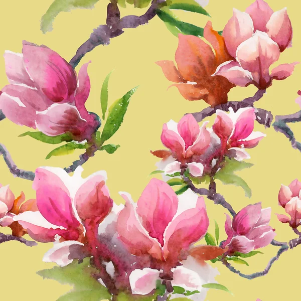 Blooming  magnolia flowers — Stock Photo, Image