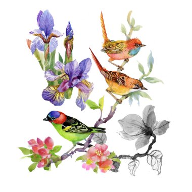  tropik çiçekler ve kuşlar 