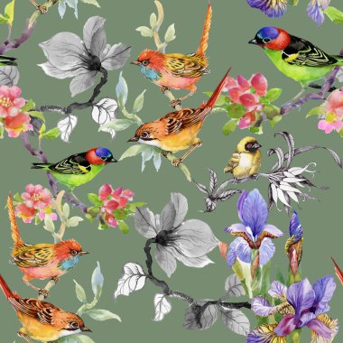 çiçekler ve kuşlar ile desen 