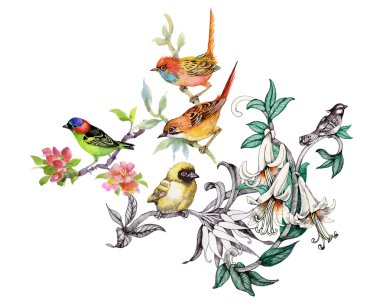  tropik çiçekler ve kuşlar 