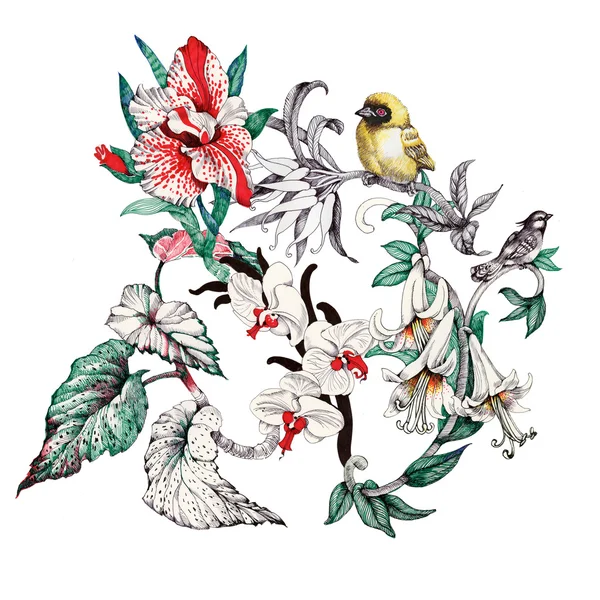 Tropikalne kwiaty i ptaki — Zdjęcie stockowe