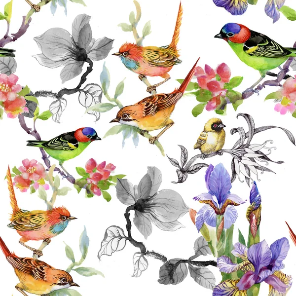 Patrón con flores y pájaros — Foto de Stock