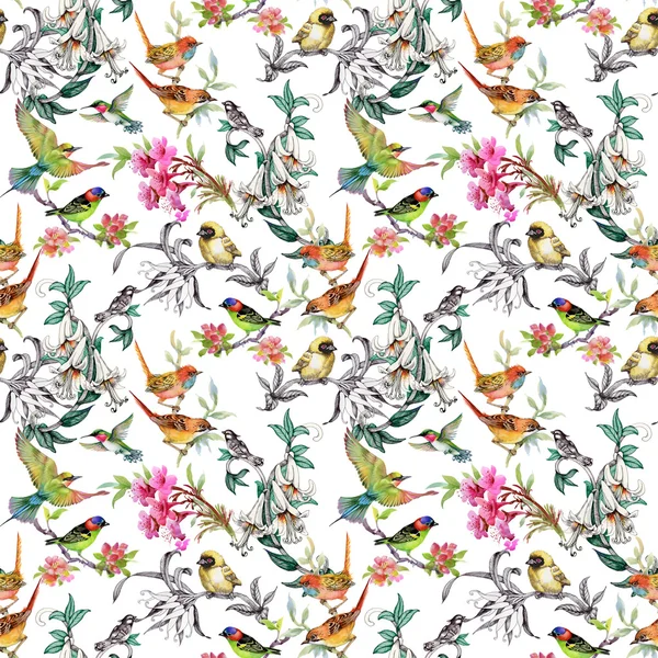 Pattern with flowers and birds — Stock Photo, Image