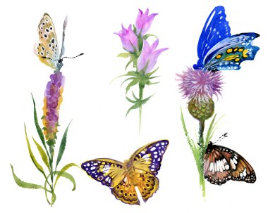  Çiçekler ve Kelebekler 