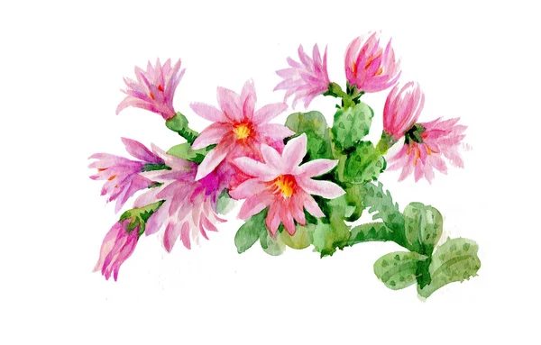 Aquarel bloeiende kleurrijke bloemen — Stockfoto