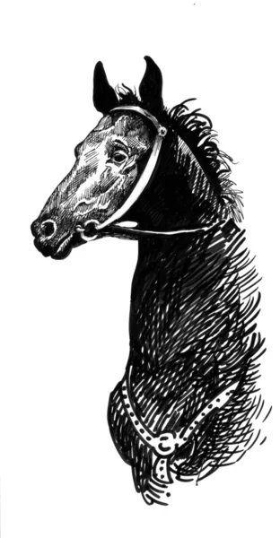 Cavalo desenhado à mão — Fotografia de Stock