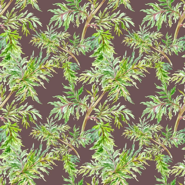 여름 잎 패턴 — 스톡 사진