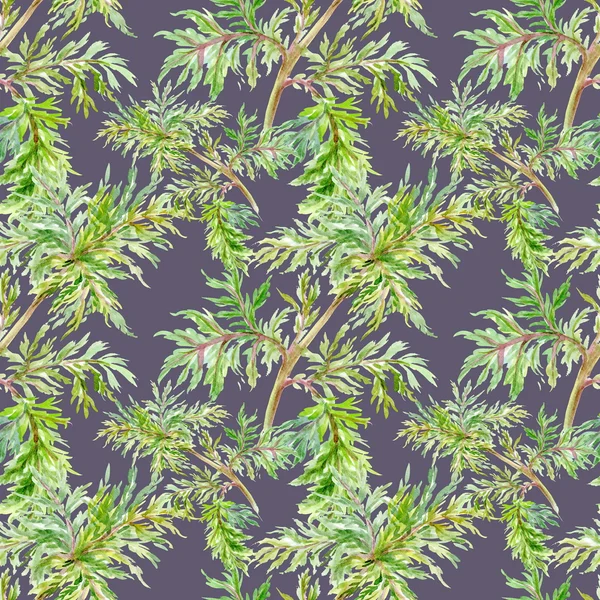 여름 잎 패턴 — 스톡 사진