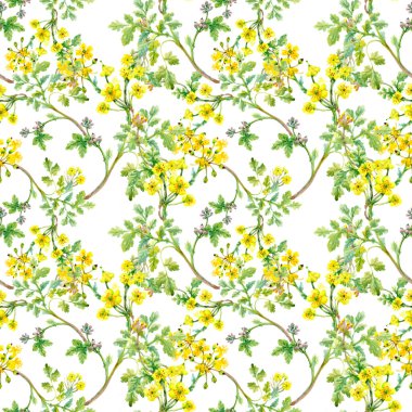Sarı çiçekli pürüzsüz desen 