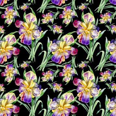 Iris ile Seamless Modeli