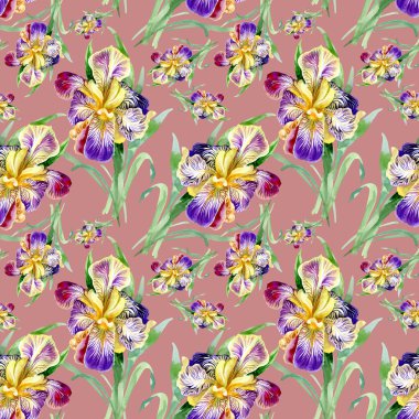 Iris ile Seamless Modeli