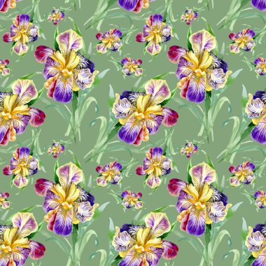 Iris ile Seamless Modeli