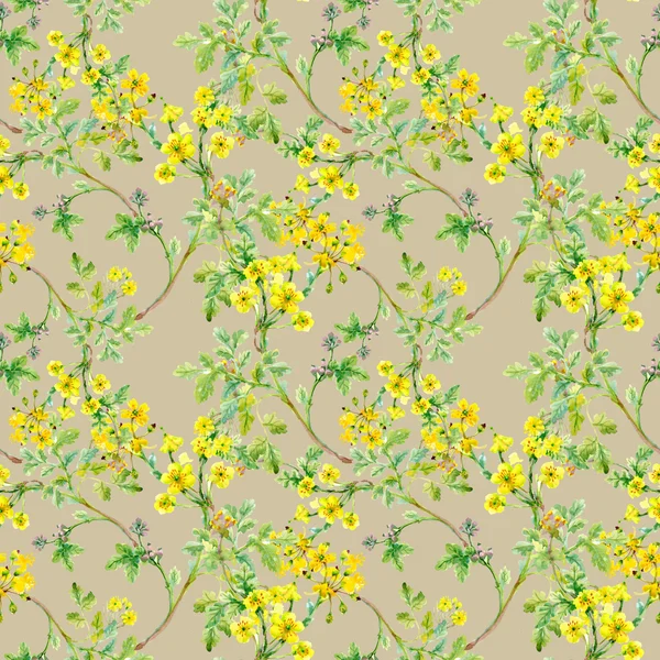 黄色の花とシームレスなパターン — ストック写真