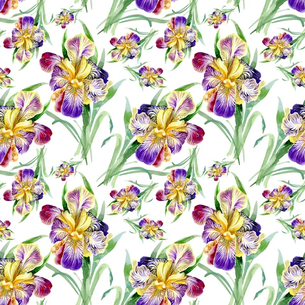 Seamless pattern with iris