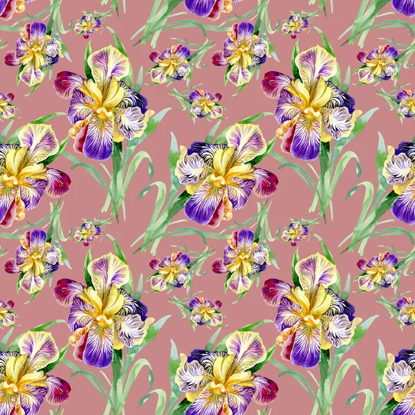 Seamless pattern with iris — Stock Photo, Image