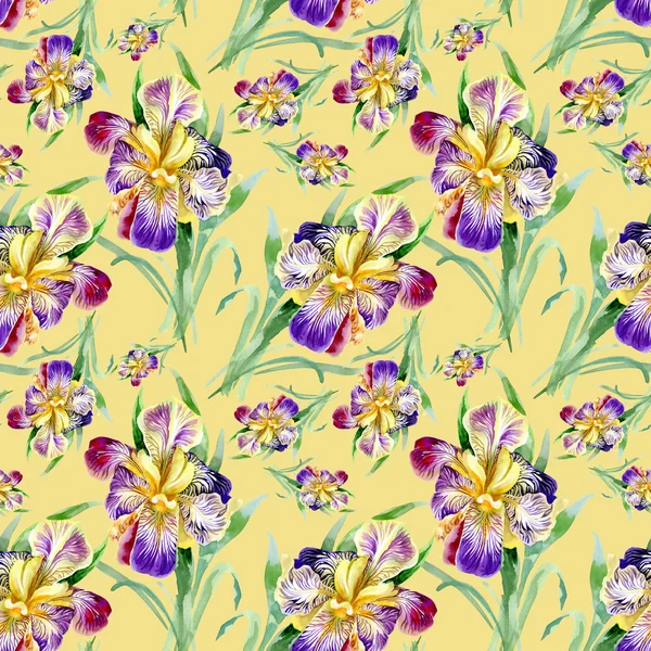 Seamless pattern with iris — Stock Photo, Image