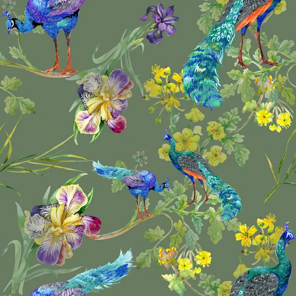 Padrão com pavões e flores da íris — Fotografia de Stock