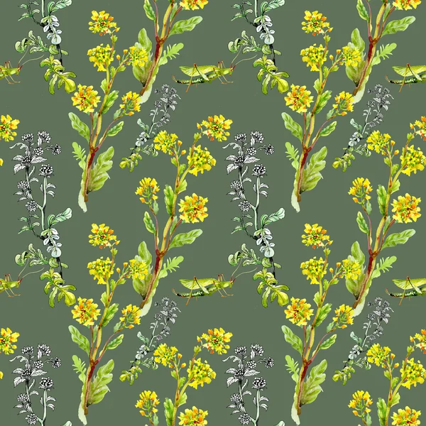 Pattern with yellow flowers and grasshoppers — Stock Photo, Image