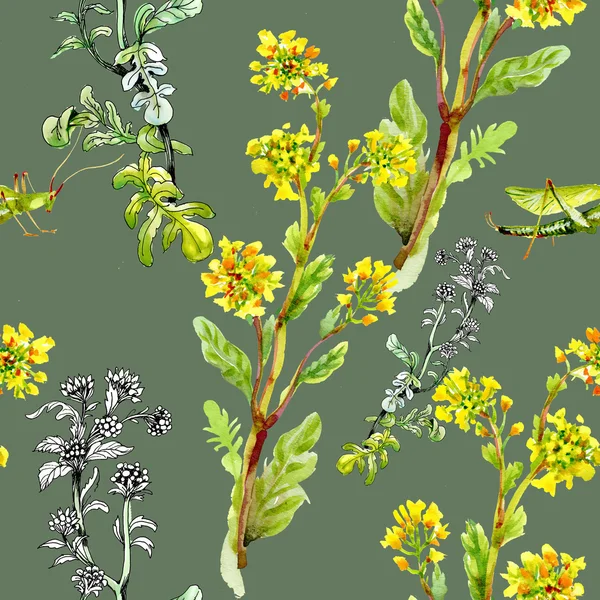 Patroon met gele bloemen en sprinkhanen — Stockfoto