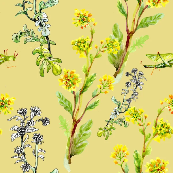 Modèle avec des fleurs jaunes et des sauterelles — Photo