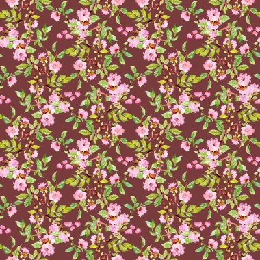 kiraz çiçekleri bahar