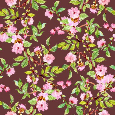 kiraz çiçekleri bahar