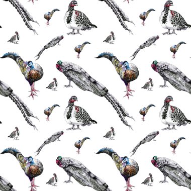 suluboya tavus kuşu desen 