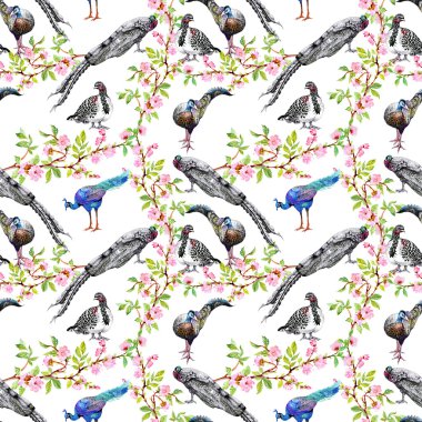 Tavus kuşu çiçekli ağaç dalları üzerinde