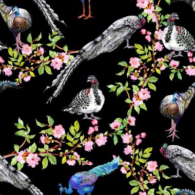 Tavus kuşu çiçekli ağaç dalları üzerinde