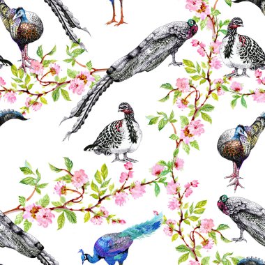 peacocks on flowering tree branches clipart