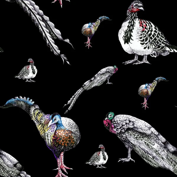 Akvarell påfåglar mönster — Stockfoto